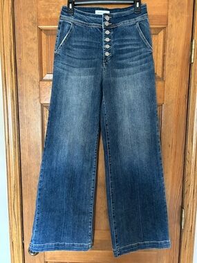 Risen Wide Leg High-Rise Jeans in Dark Blue - Button Front